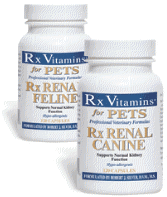 RX RENAL FELINE